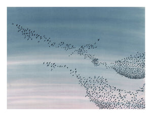 Murmuration<Br>print