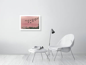 50.2 cm x 70.0 cm, 19.8 inches x 27.6 inches