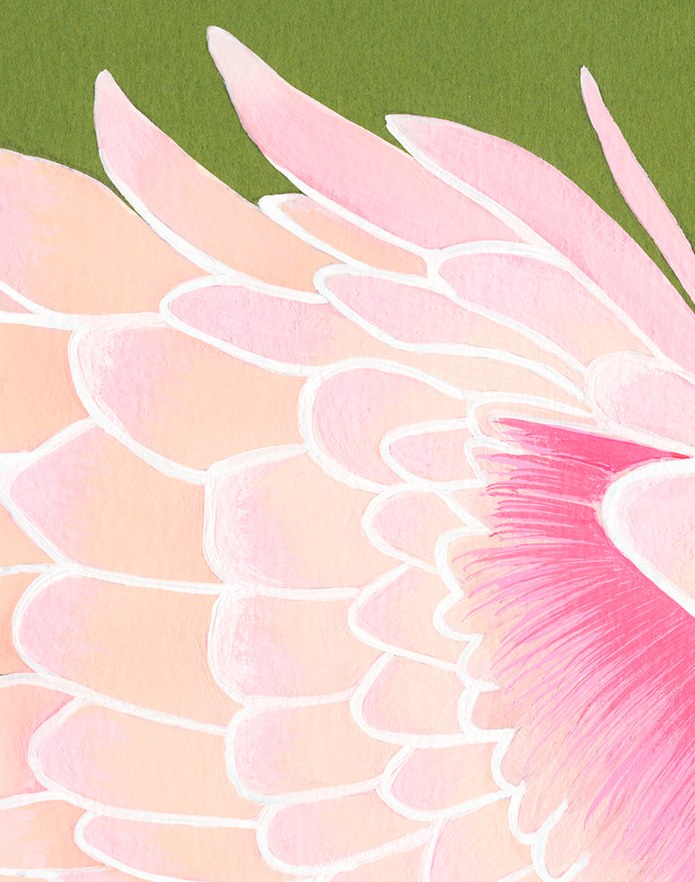 Roseate Spoonbill