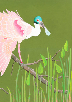 Roseate Spoonbill