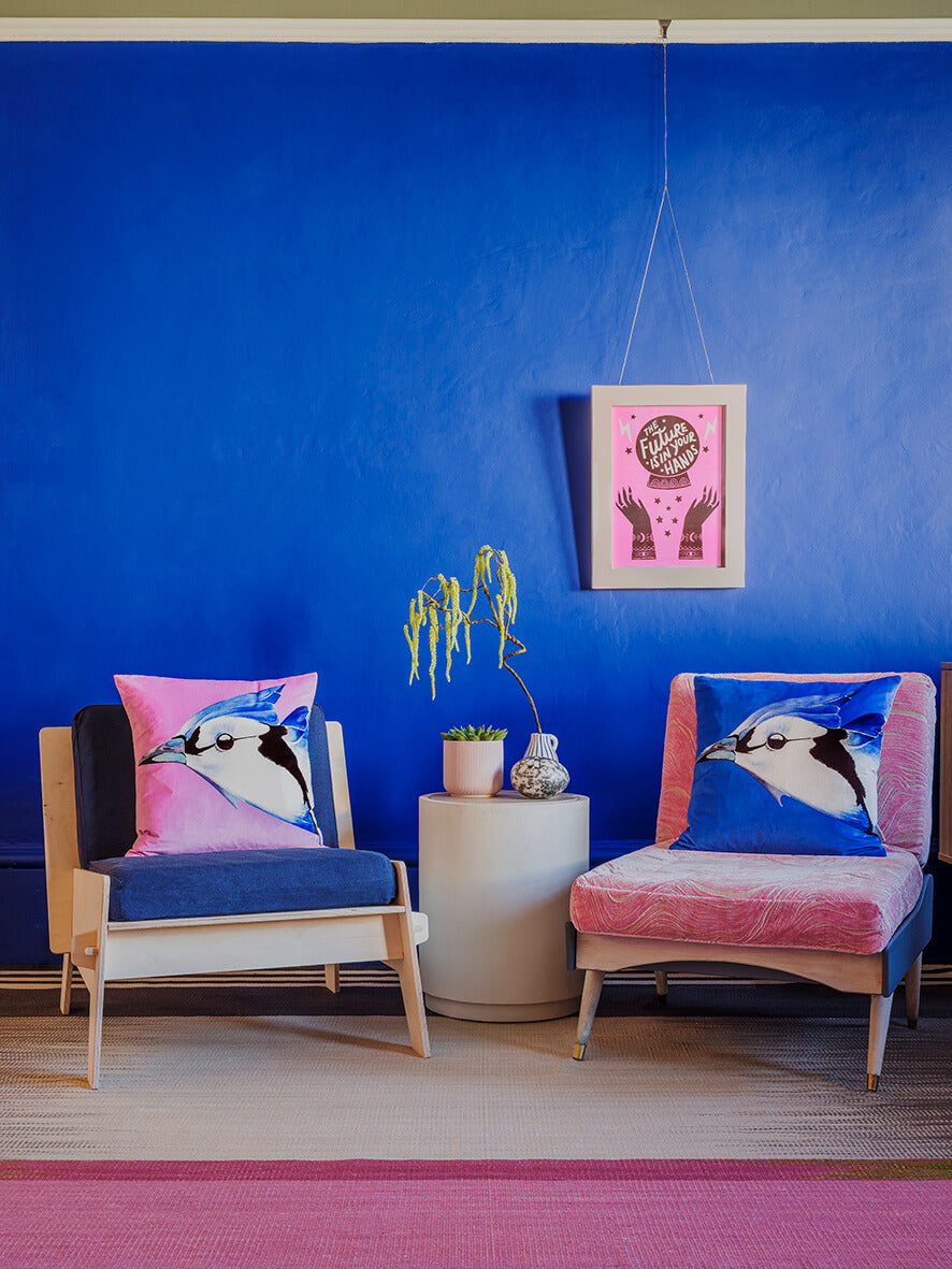 Blue Jay on Orchid velvet cushion