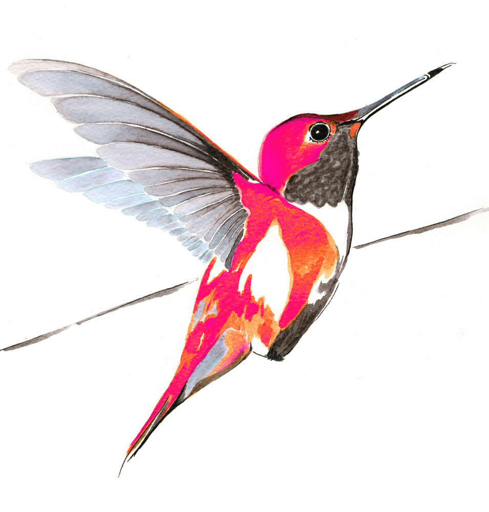Hummer in pink<br/>greeting card