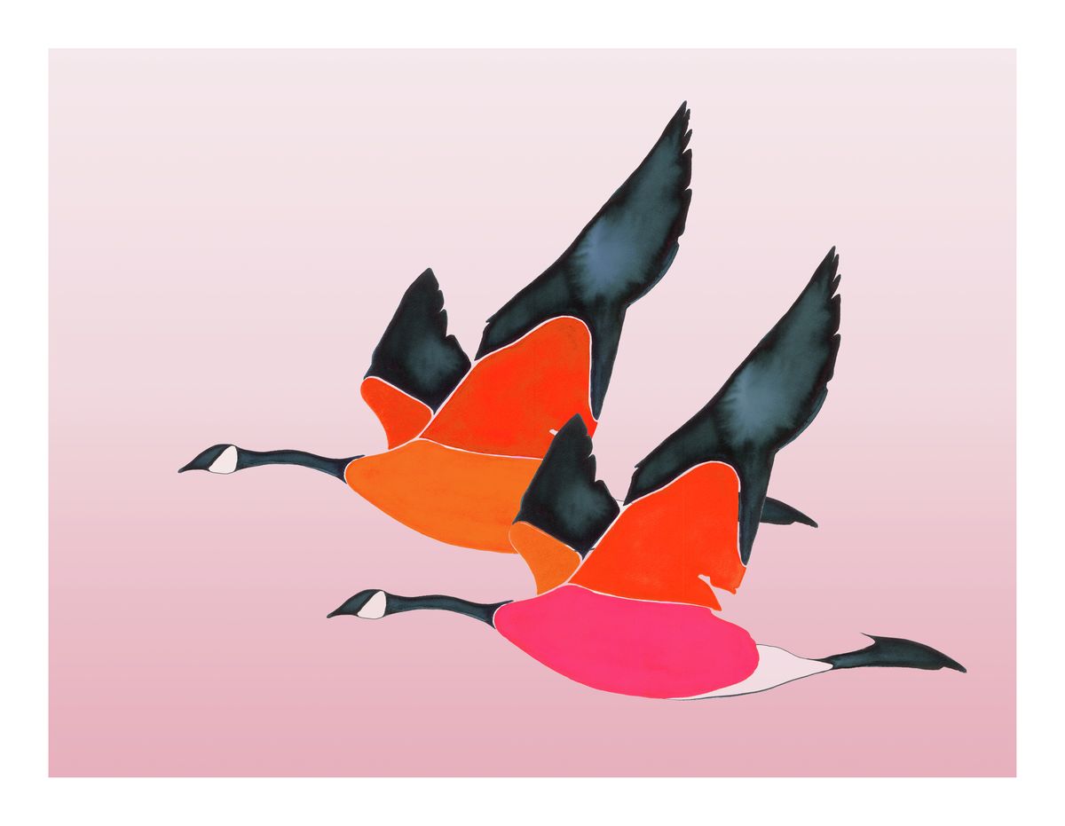 Flying Together in Happiness on Rose<br/>print