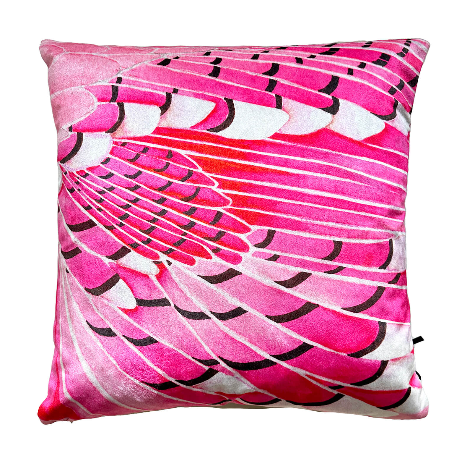 Blue Jay Wing in Pink<Br>cushion
