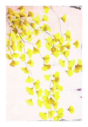 Ginkgo Tree in Yellow<br/>print