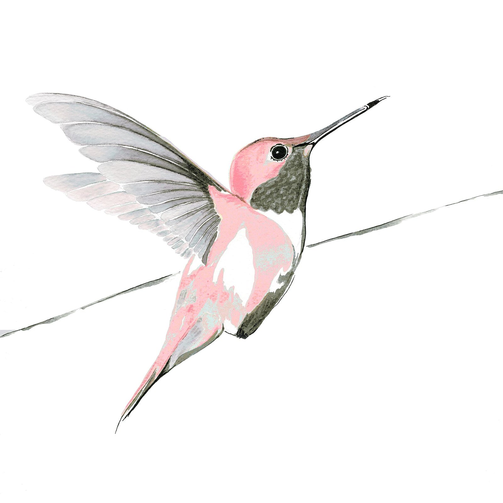 Rose Hummer<Br>print