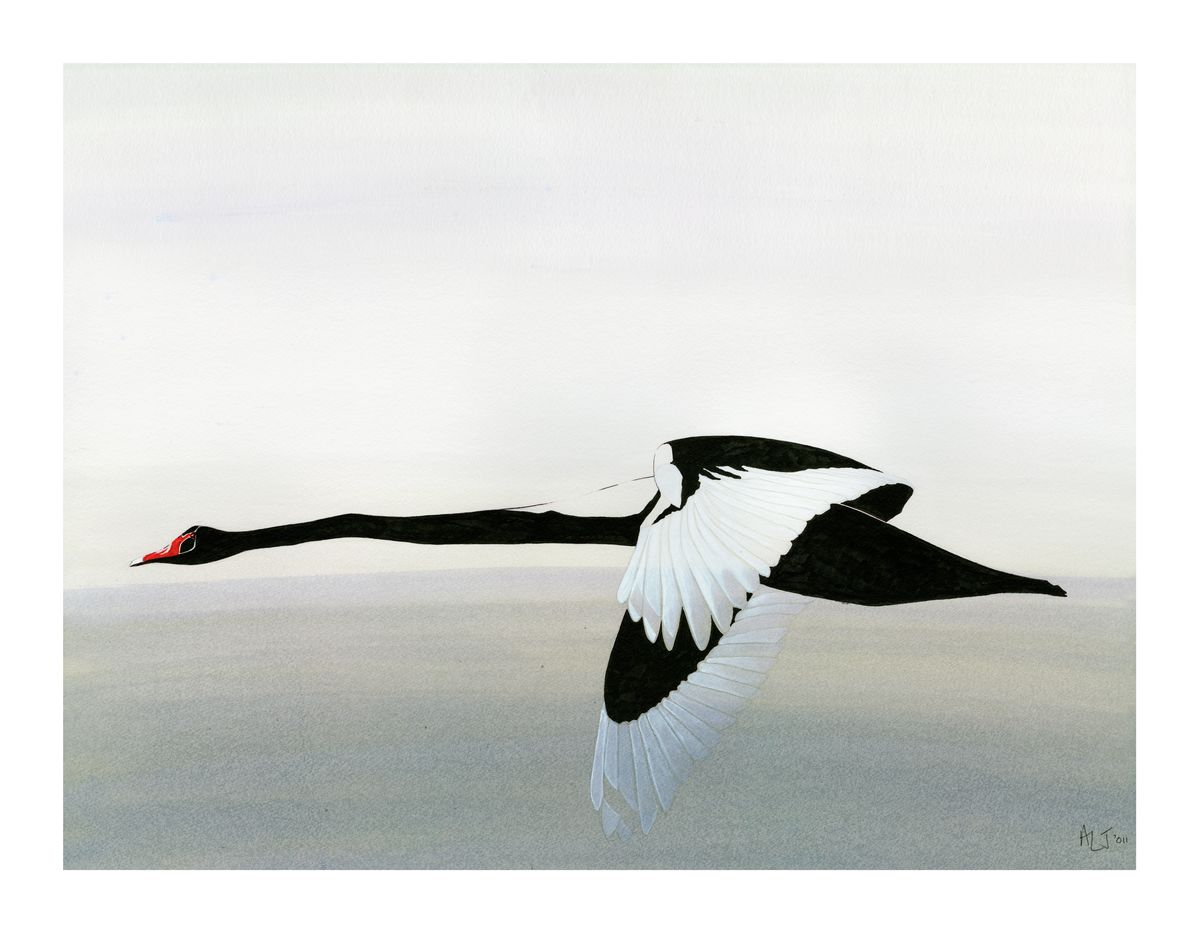 Meditation in Flying <br /> Print