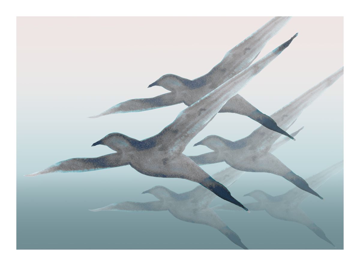 Breathe print by British artist, Anna Jacobs. A flock of seagulls flying through the misty sea air, painted in ink on watercolour paper