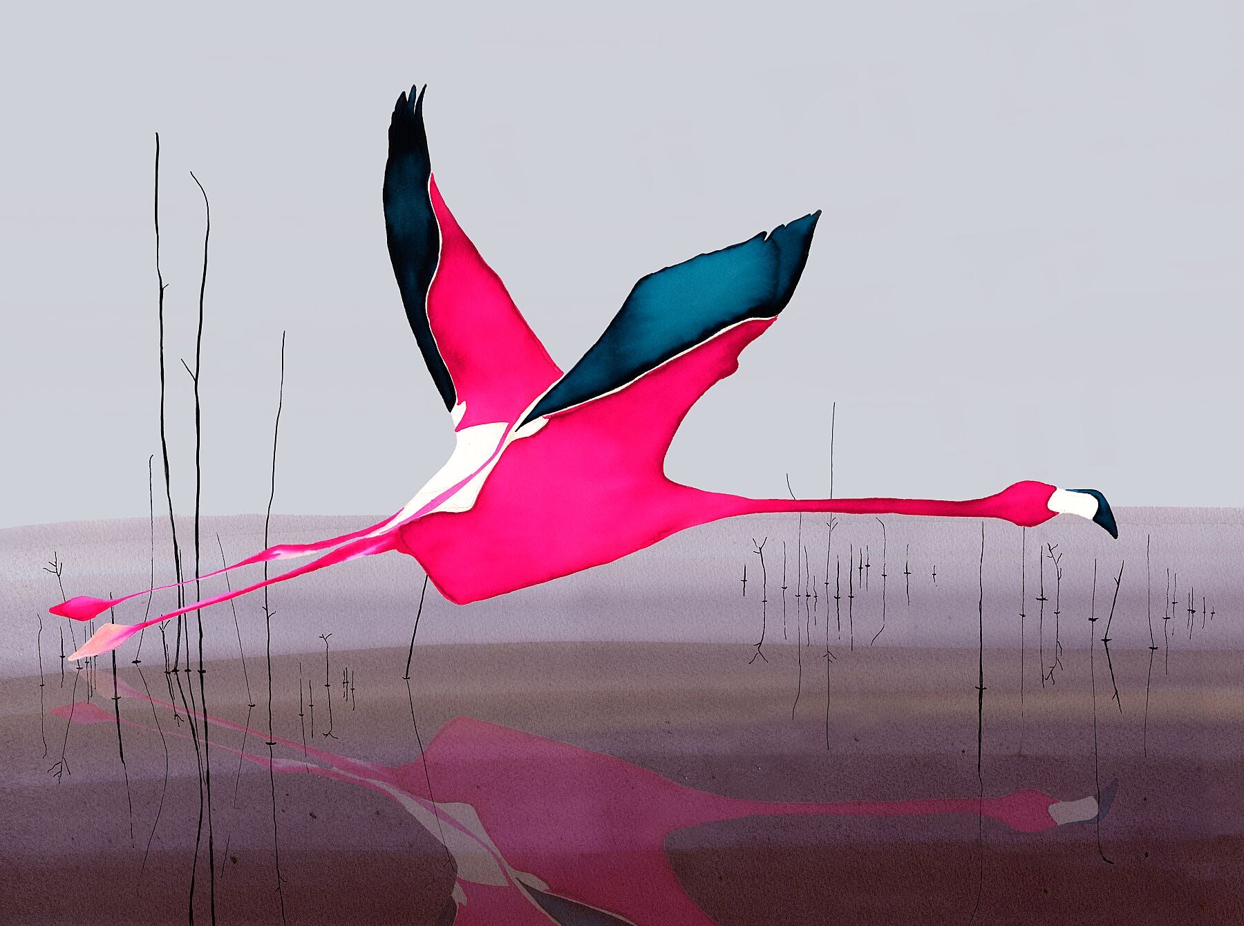 Flamingo print in shocking pink by Anna Jacobs