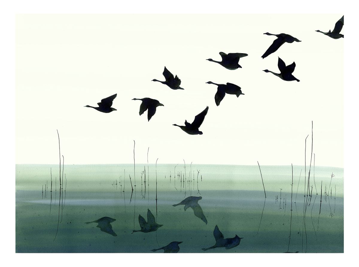 Welsh Reflection<Br>print