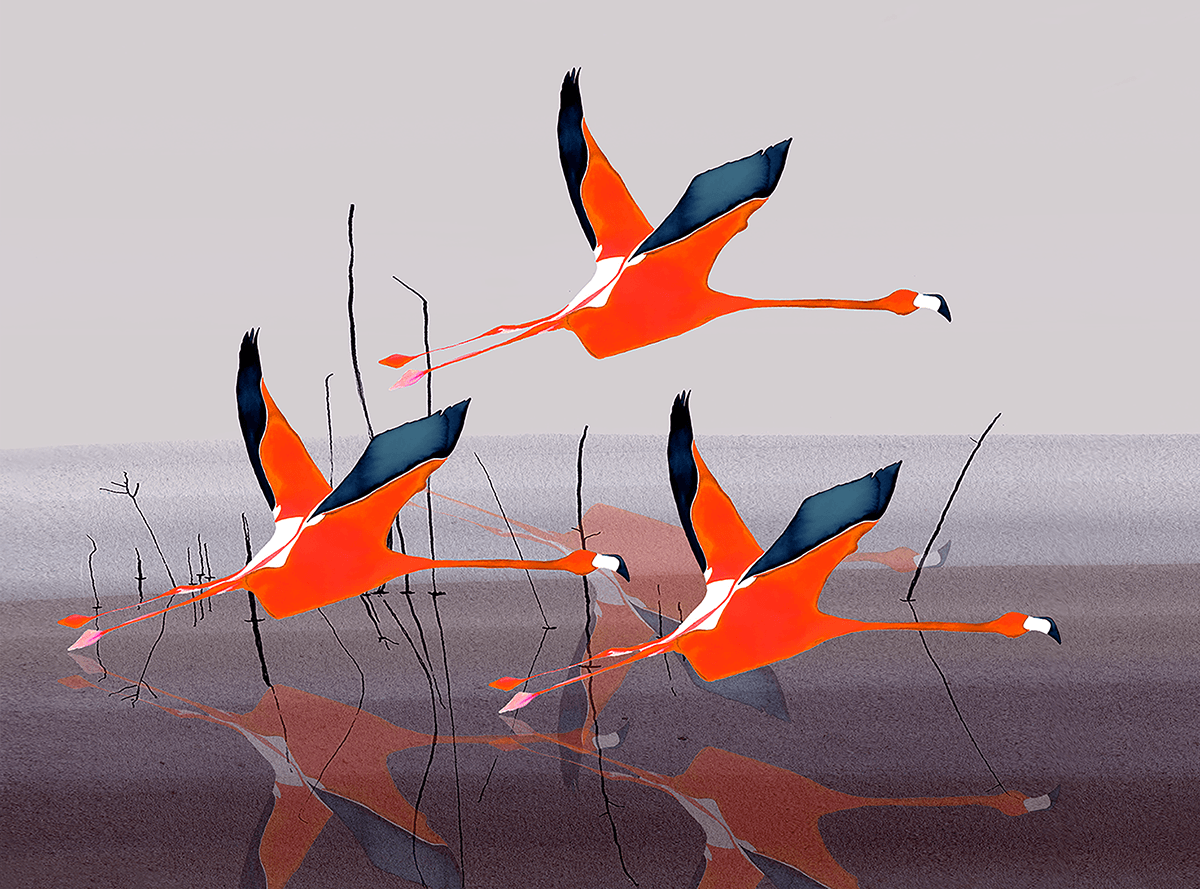 Framed - medium - Let's Go Flying with the Family Print - DOH price