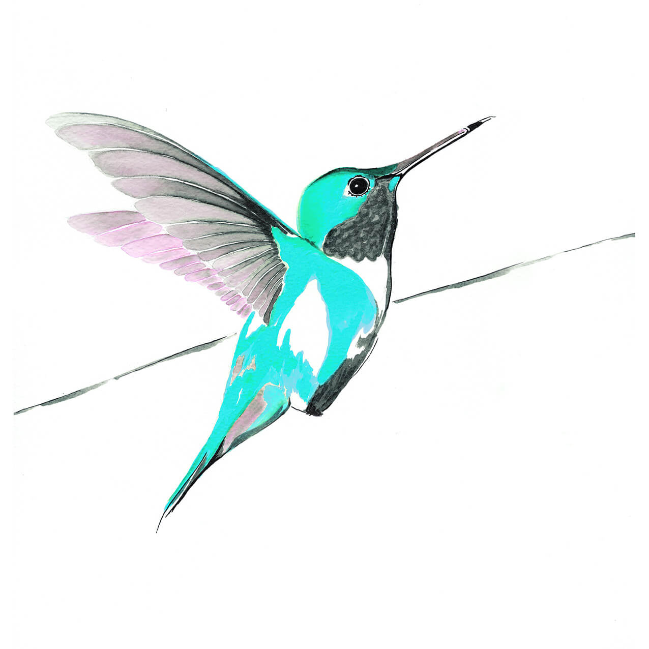 Hummingbird in blue limited edition print by Anna Jacobs