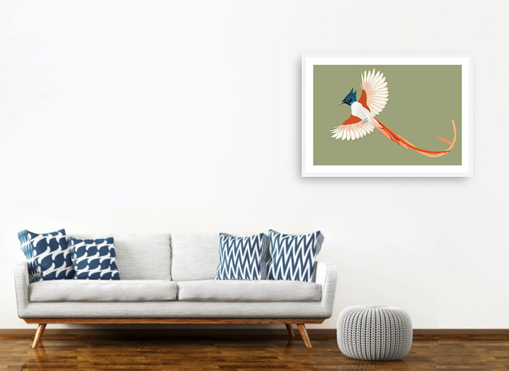 Indian Paradise Flycatcher