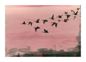 Urban Flight in Rose print by Anna Jacobs - dark silhouetted birds flying across a rose pink background and abstract urban lansdcabe