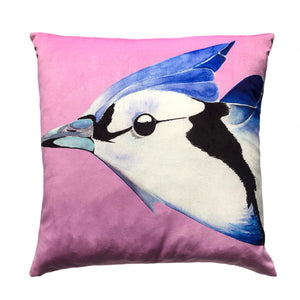 Blue Jay on Orchid velvet cushion