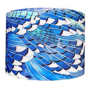 Blue Jay Wing lampshade