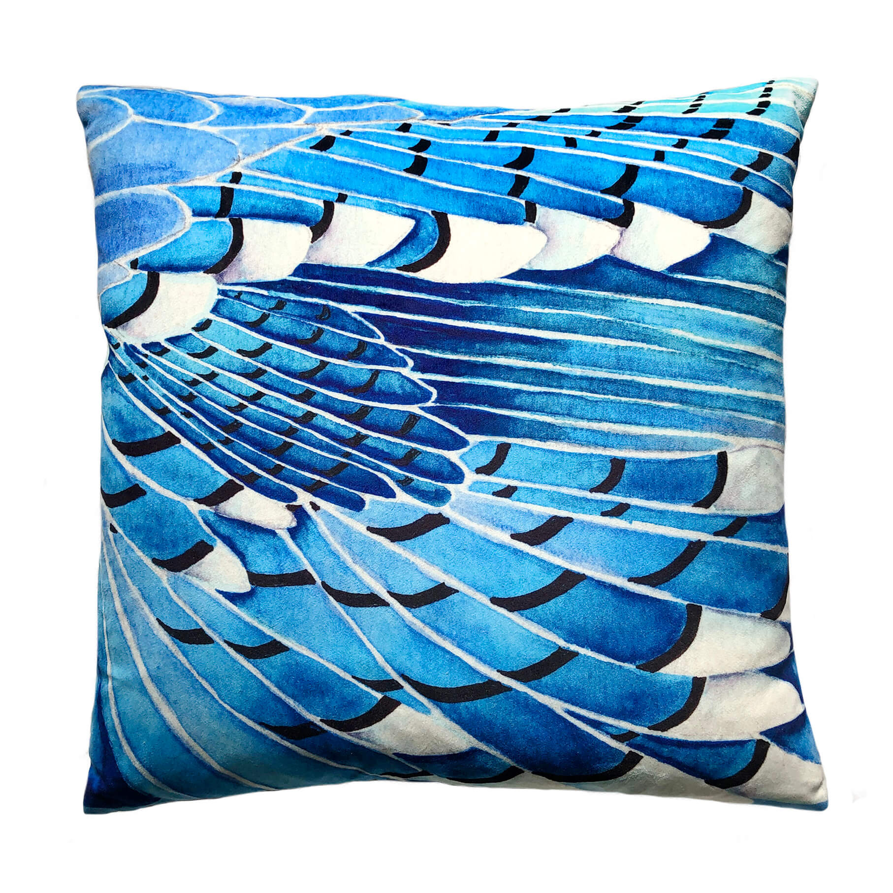 Blue Jay wing velvet cushion by Anna Jacobs