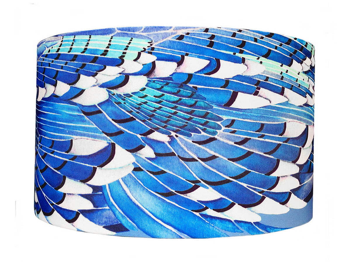 Blue Jay Wing lampshade