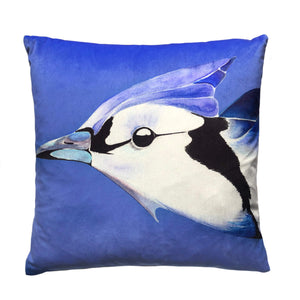Blue Jay on Cornflower velvet cushion