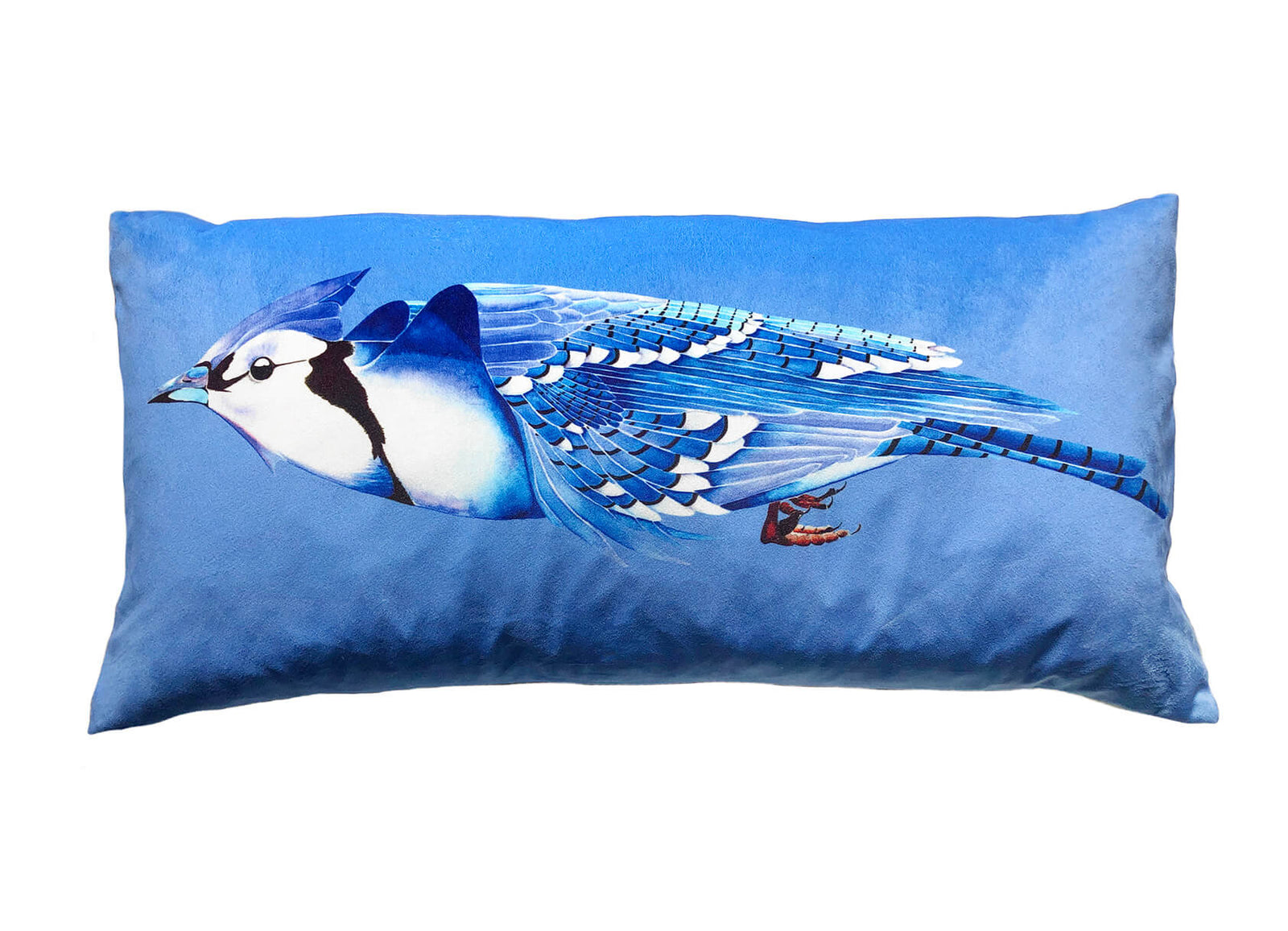 Blue Jay velvet bolster by Anna Jacobs