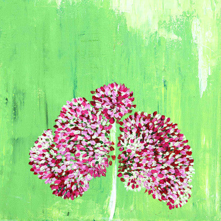 Blushing Sedum<br/>greeting card