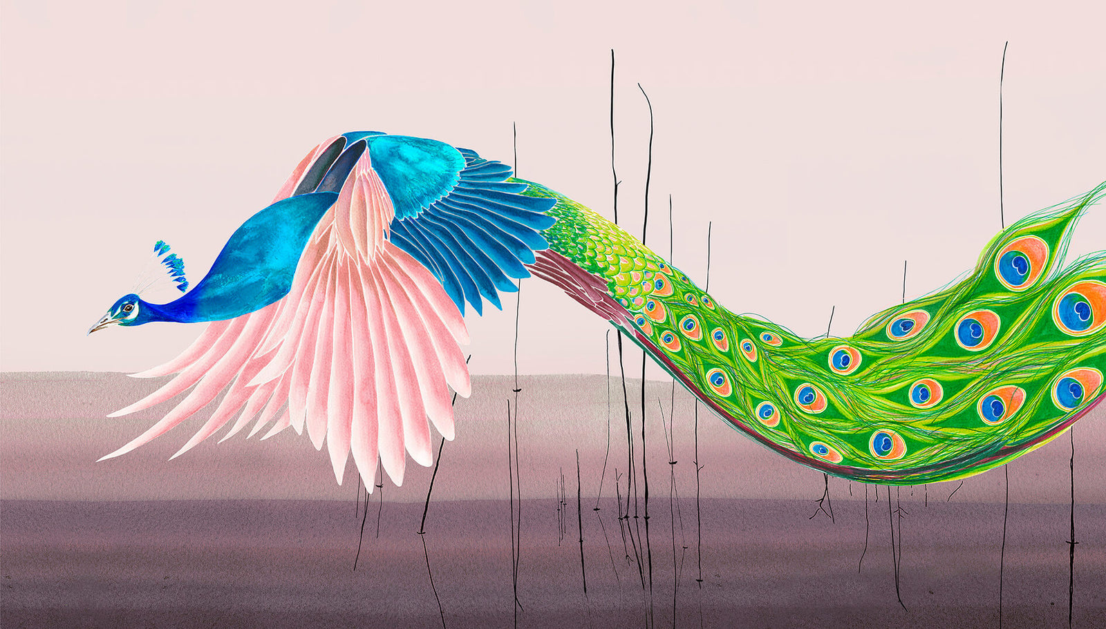 Flying Peacock Print