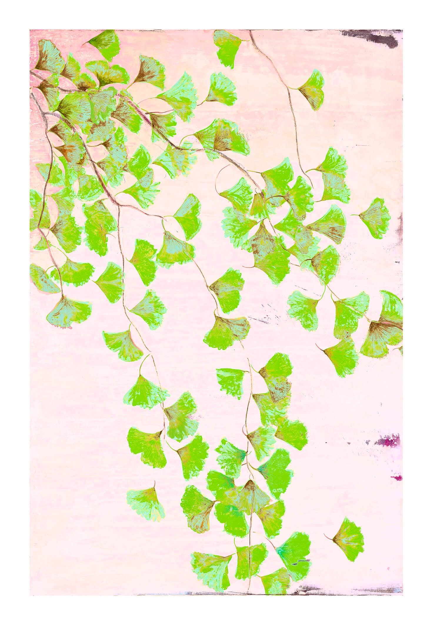 Ginkgo in Green<Br>print