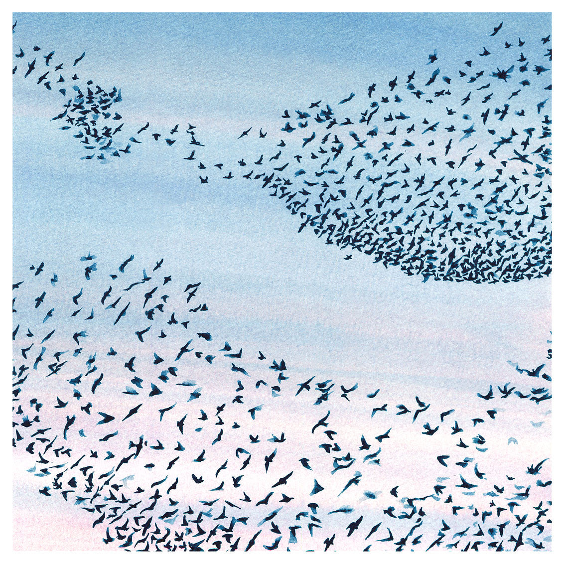 Murmuration<br />greeting card