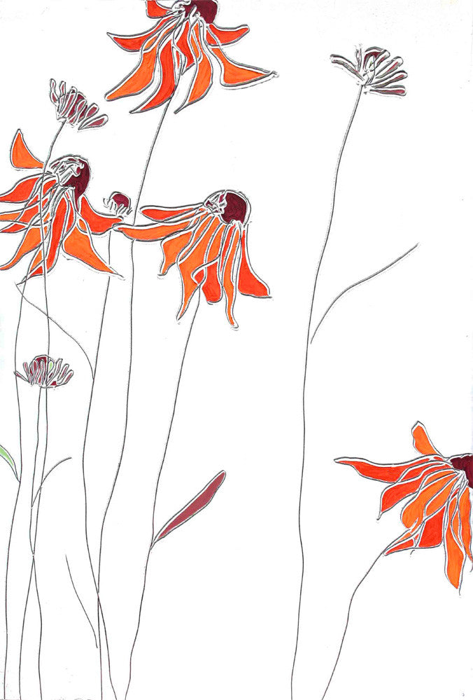 Red Echinacea<br/>greeting card