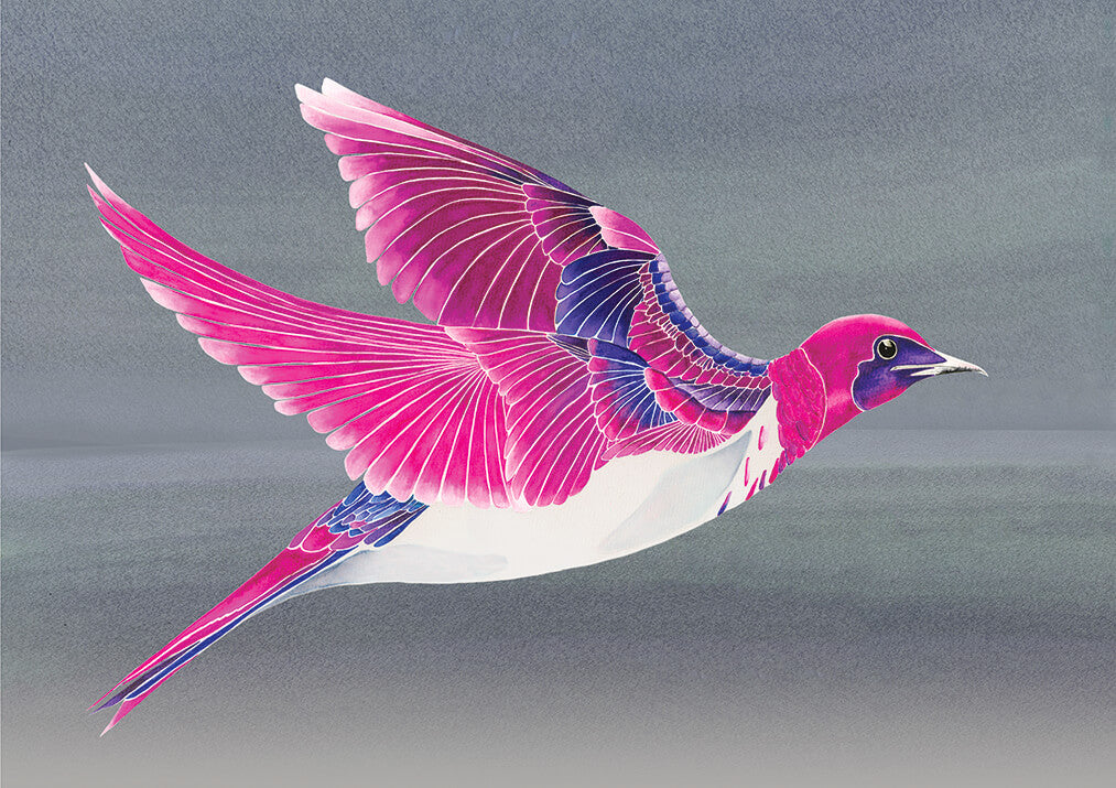 Violet Backed Starling<br />greeting card
