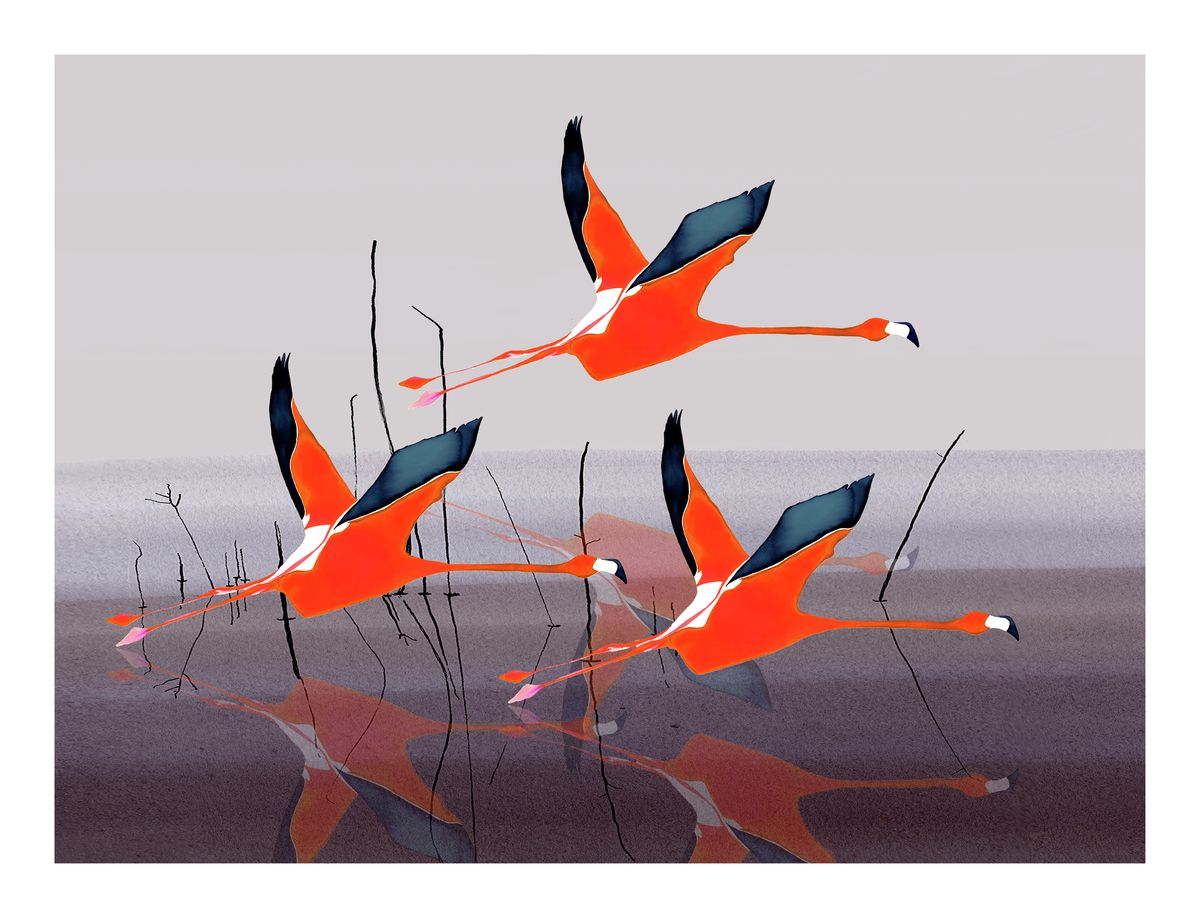 Let's Go Flying with the Family<br/>print