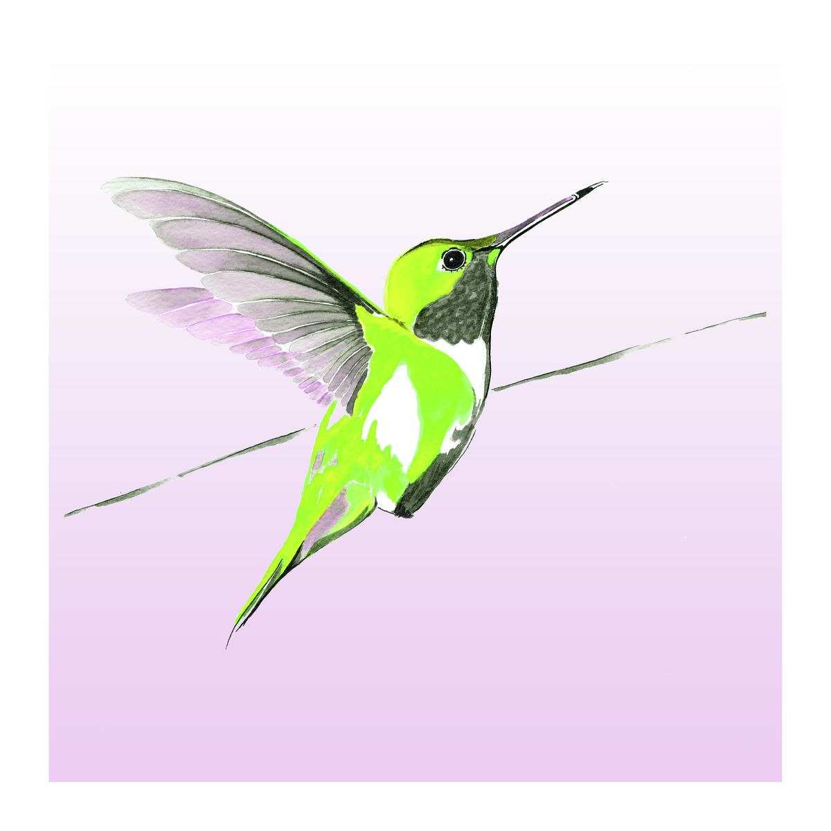 Hummer in Green on Lilac<br>print