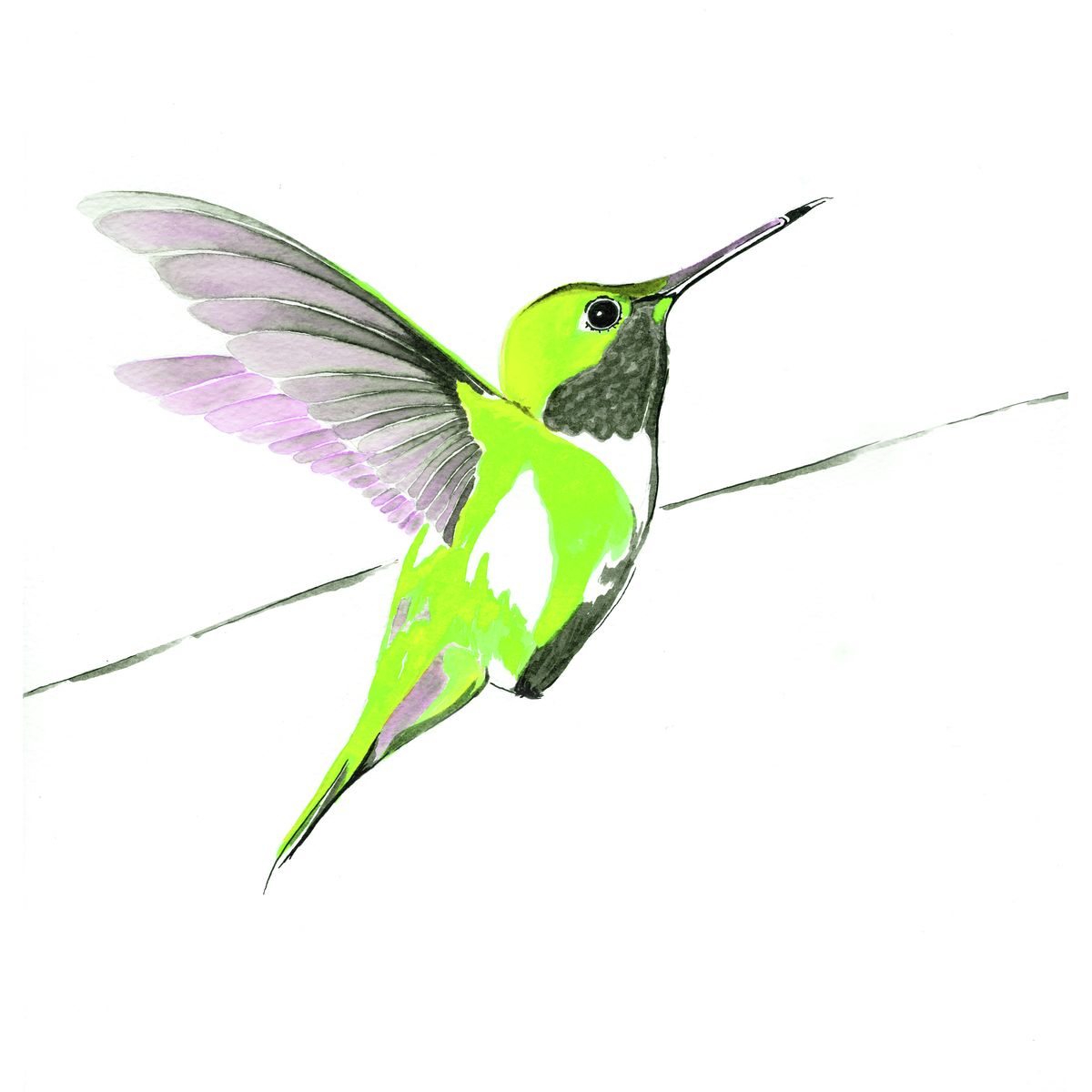 Hummer in Green<br/>print